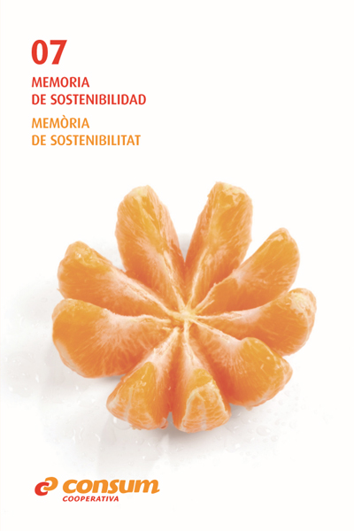 Memòria2007
