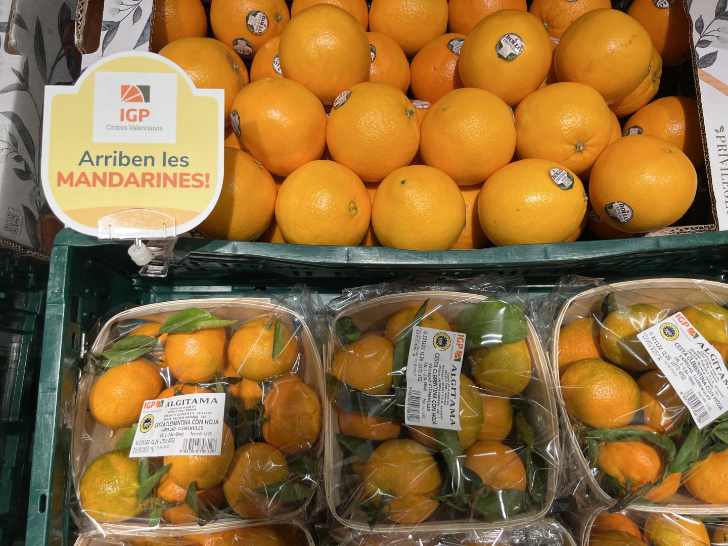 Consum apoya al sector citrícola vendiendo solo naranjas y mandarinas con IGP en la Comunitat Valenciana, Cataluña y Murcia