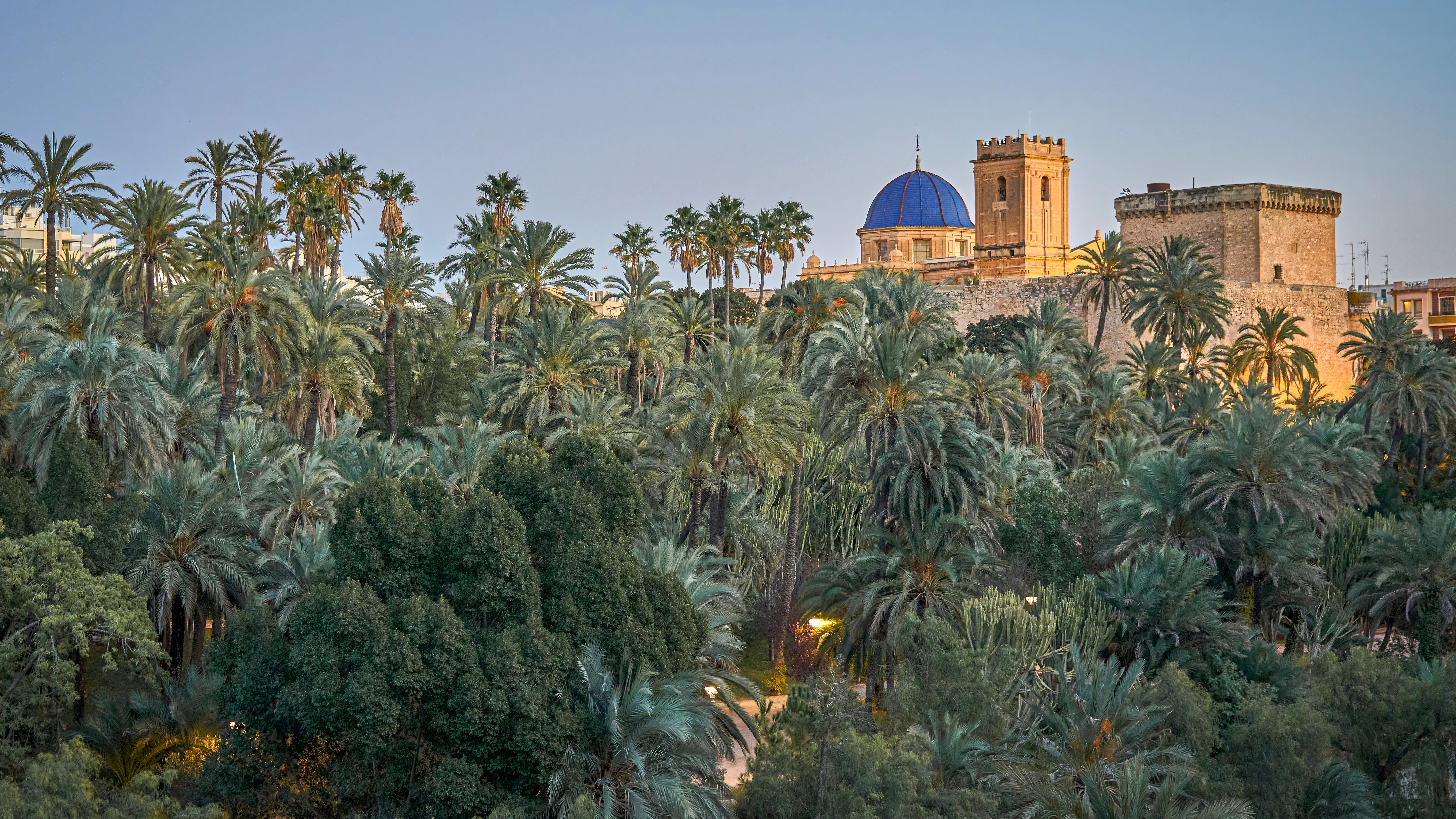 Elche