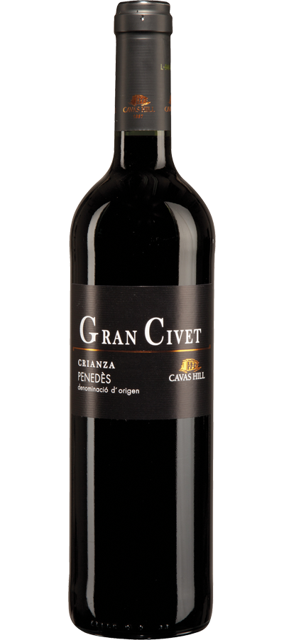   Gran Civet